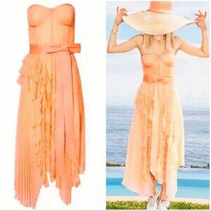 Alice + Olivia Bree Ruffle Lace Bustier Dress Light Peach $795